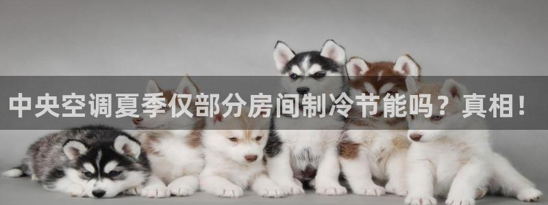 环球360app下载