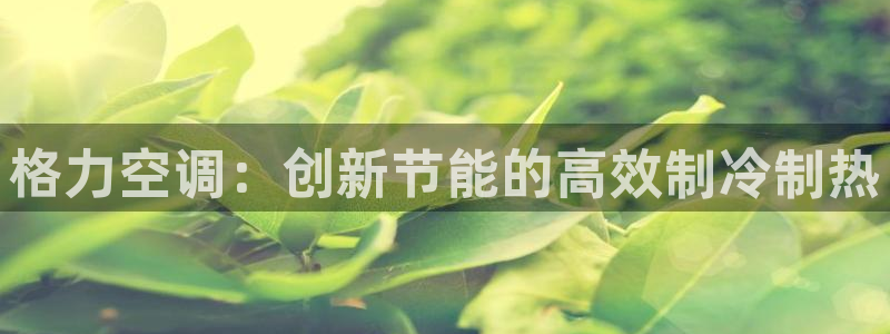 环球360合作包杀网一比一