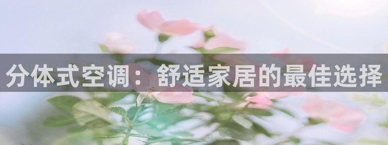 环球360手机版网址