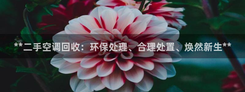 环球360包杀一比一
